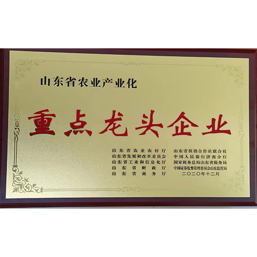 榮譽案例
