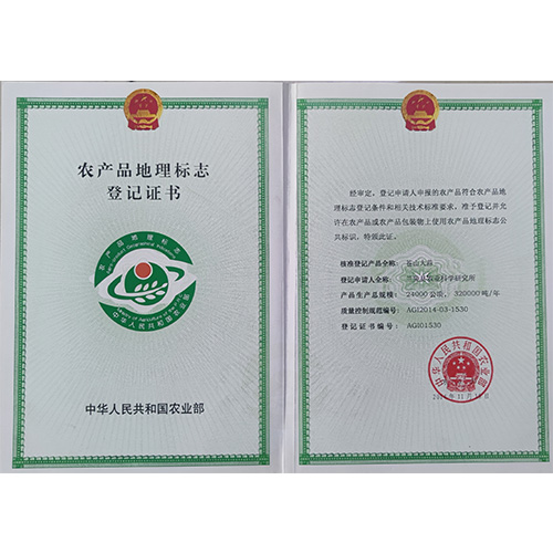 榮譽案例