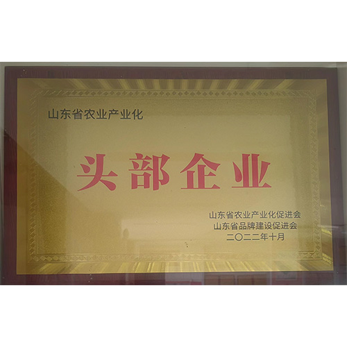 榮譽案例