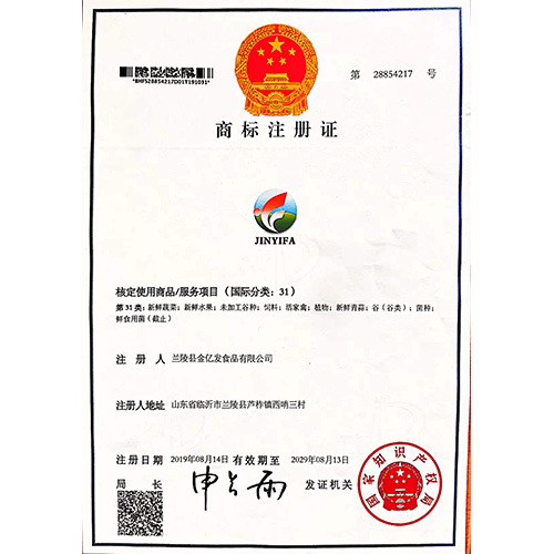 榮譽案例